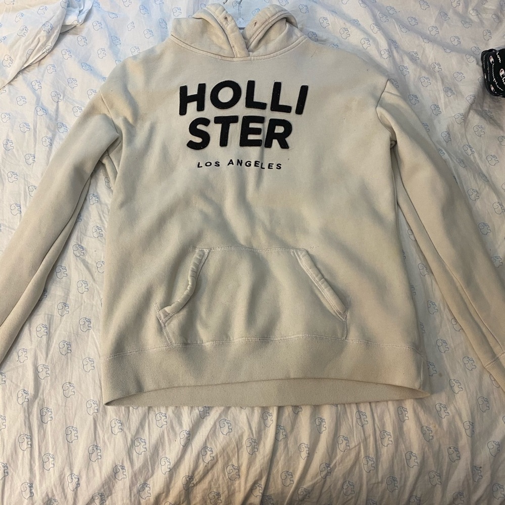 Hollister sweatshirt